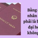 bằng cử nhân là gì
