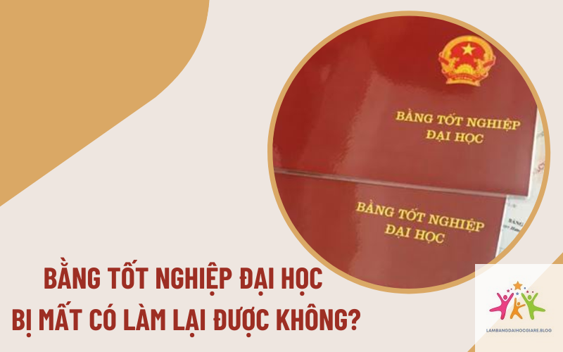 bằng đại học bị rách xử lý thế nào - Hình 5