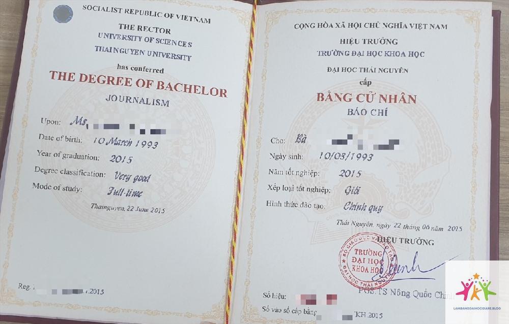 bằng đại học chất lượng cao là gì - Hình 5