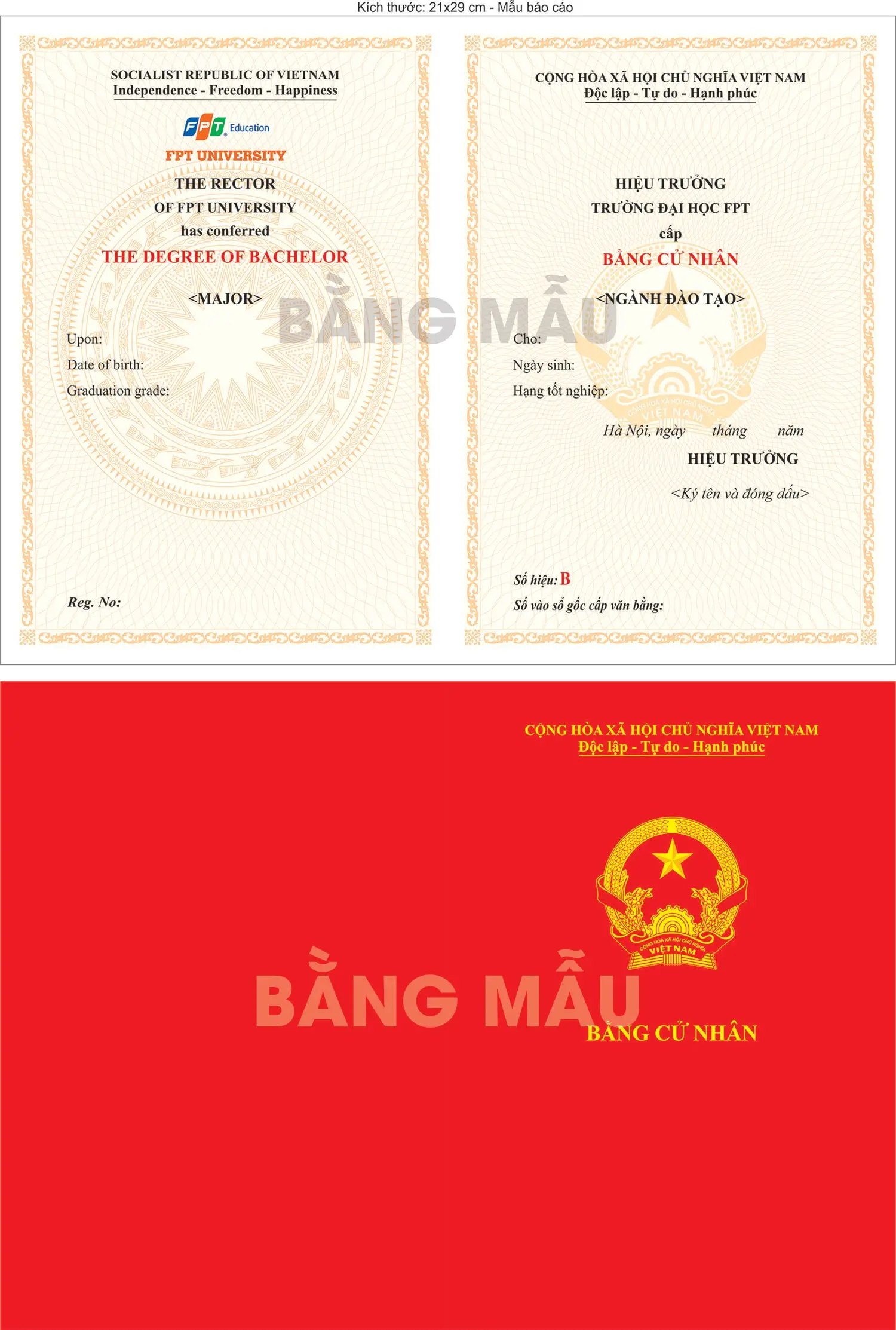 bằng đại học chính quy là gì - Hình 3