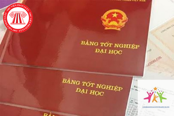 bằng đại học có ảnh hưởng đến tuyển dụng không - Hình 2