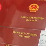 bằng đại học có ảnh hưởng hồ sơ xin việc không