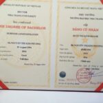 bằng đại học có ảnh hưởng vị trí công việc không