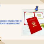 bằng đại học có bị thu hồi không