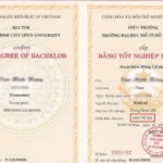 bằng đại học có cần cho công chức không