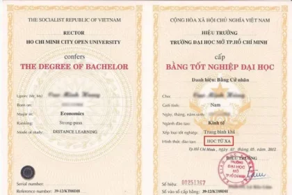 bằng đại học có cần cho công chức không