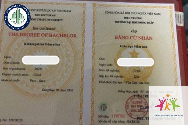 bằng đại học có cần cho công chức không - Hình 5