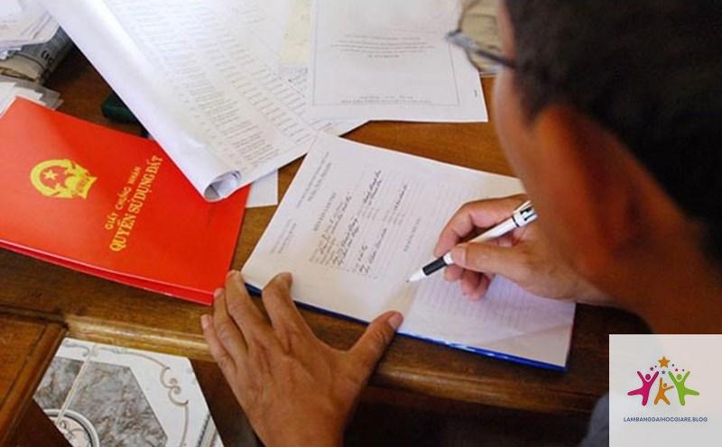 bằng đại học có cần cho viên chức không - Hình 3