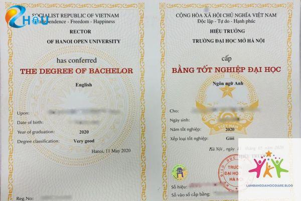 bằng đại học có cần khi thi công chức không - Hình 3