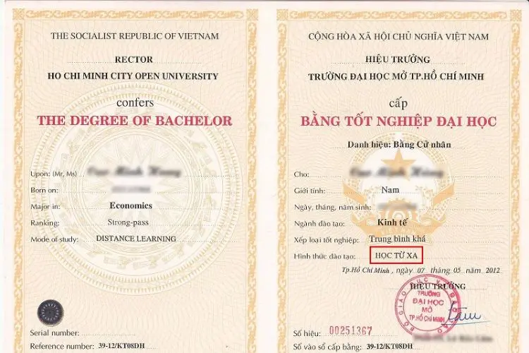 bằng đại học có cần khi thi viên chức không - Hình 1