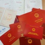 bằng đại học có cần khi xét lương không