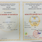 bằng đại học có giúp khởi nghiệp không