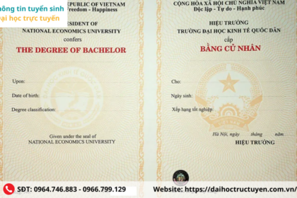 bằng đại học có giúp làm remote không