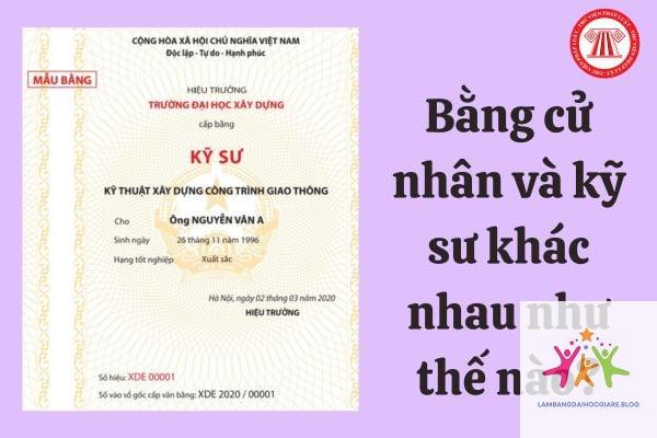 bằng đại học có giúp làm trưởng nhóm không - Hình 5