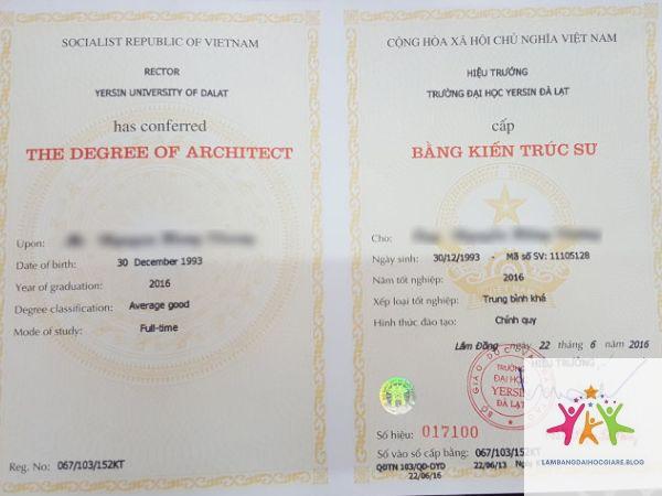 bằng đại học có giúp lên quản lý không - Hình 5