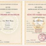bằng đại học có giúp thăng chức không