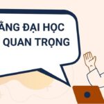 bằng đại học có giúp thăng tiến không