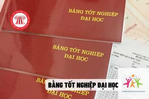 bằng đại học có phải nộp bản gốc không - Hình 4