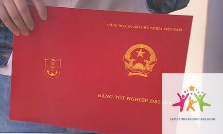 bằng đại học có quan trọng khi làm nhà nước không - Hình 3