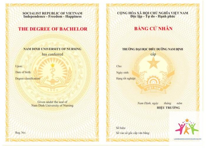 bằng đại học có quan trọng khi xin việc không - Hình 4