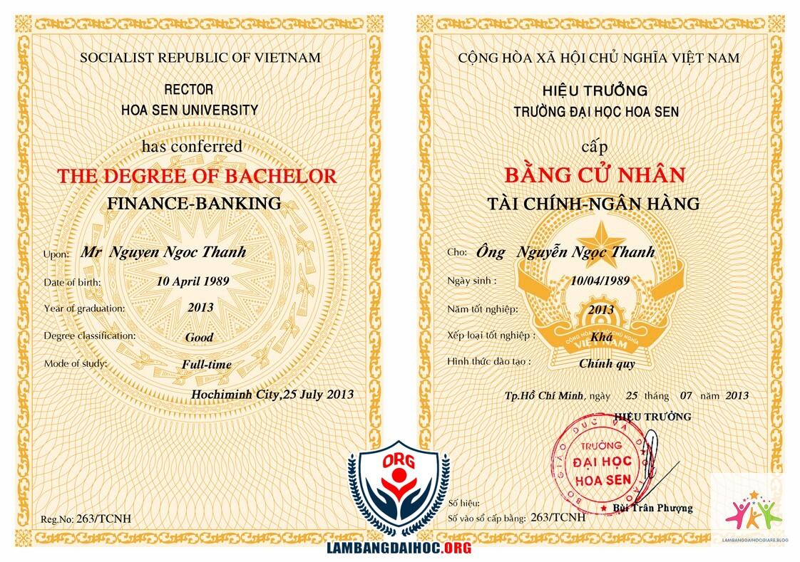 bằng đại học có thể thay thế kinh nghiệm không - Hình 4
