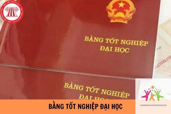 bằng đại học dùng để làm gì - Hình 3
