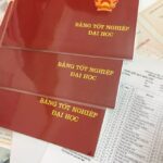 bằng đại học gồm những thông tin gì