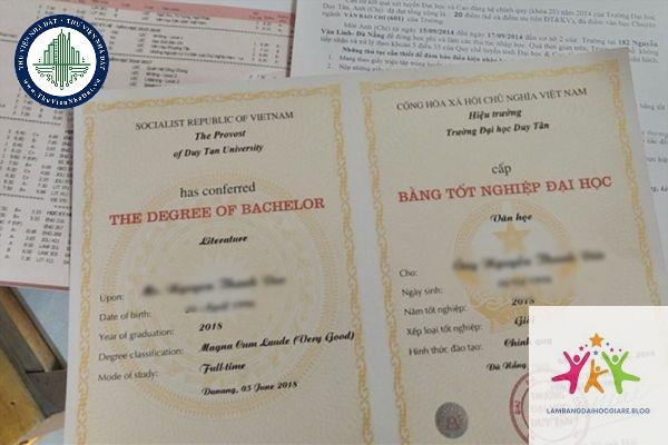 bằng đại học gồm những thông tin gì - Hình 3