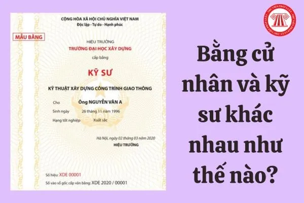 bằng đại học là gì - Hình 4
