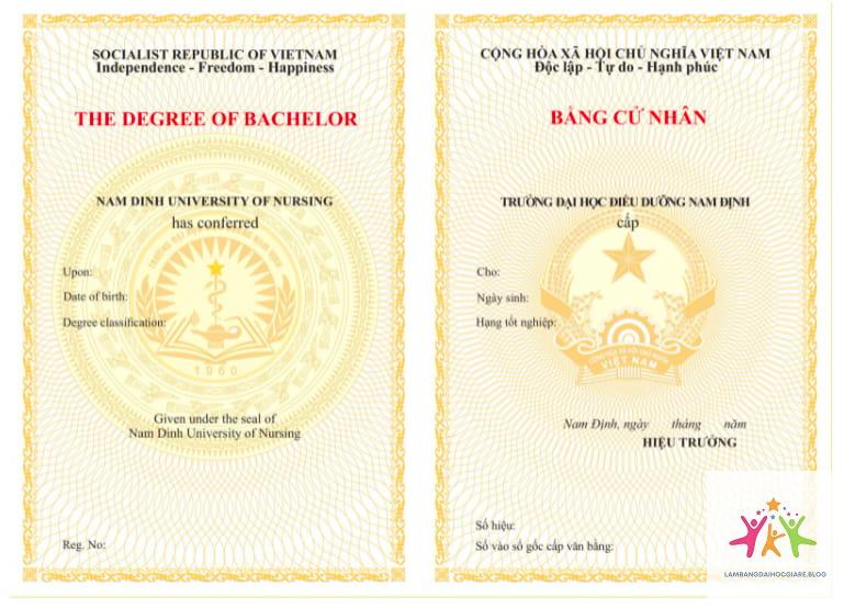 bằng đại học là gì - Hình 5