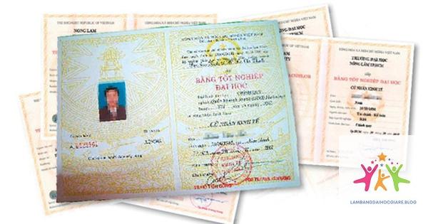 bằng đại học thuộc trình độ nào - Hình 1