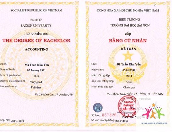 bằng đại học tiếng anh là gì - Hình 3