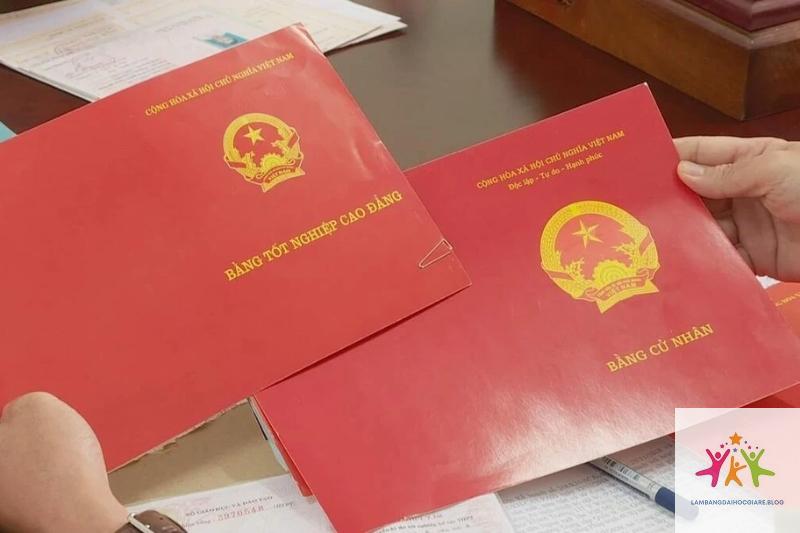 bằng đại học và bằng cử nhân khác nhau không - Hình 2