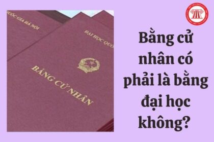 bằng đại học và bằng cử nhân khác nhau không