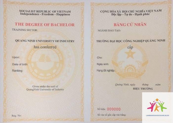 bằng đại học và bằng cử nhân khác nhau không - Hình 5