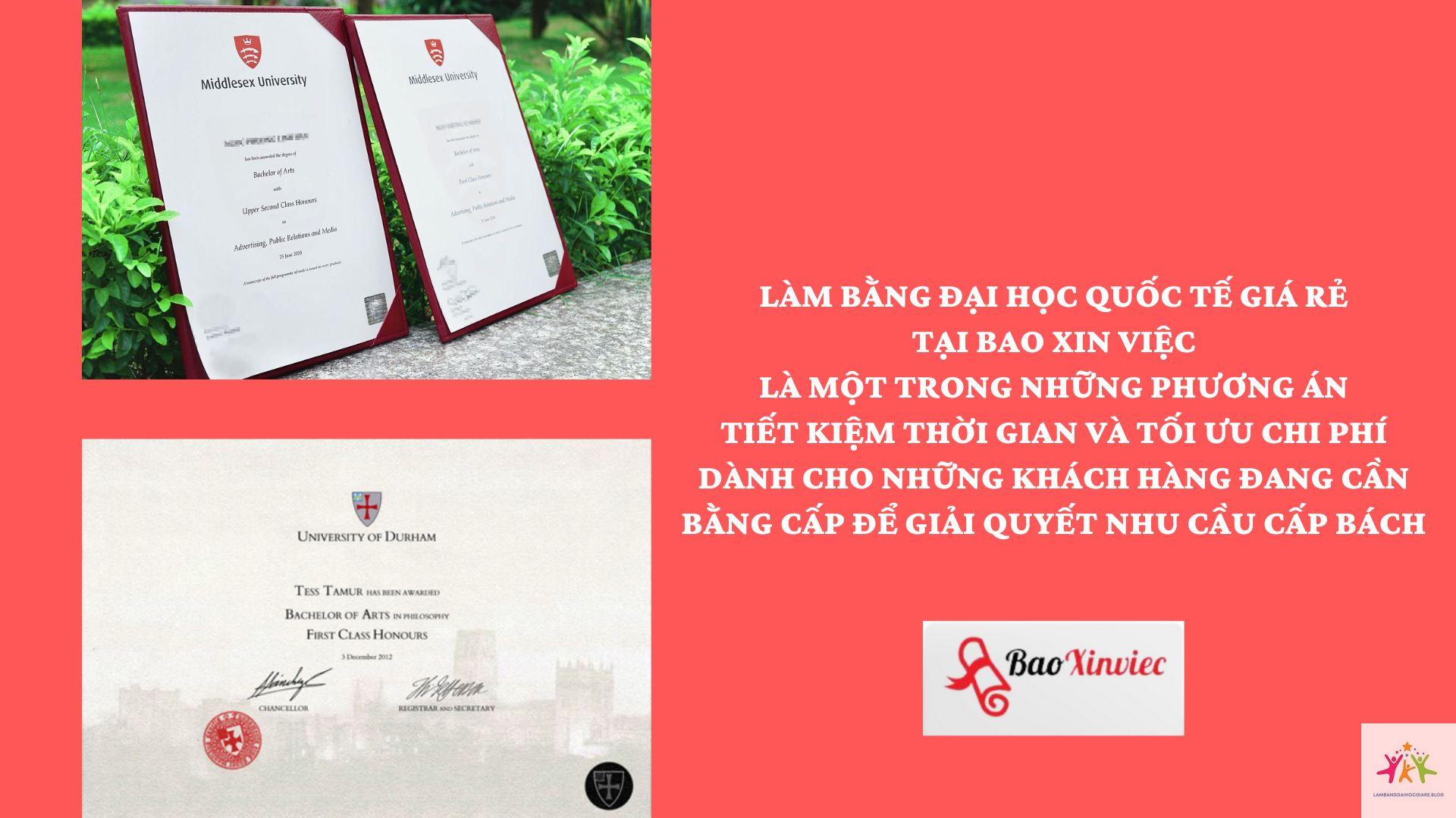 bằng đại học và chứng chỉ quốc tế - Hình 2