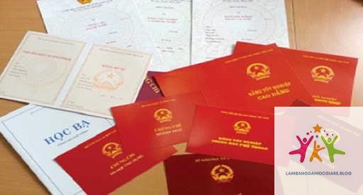 bằng đại học và chứng chỉ quốc tế khác nhau gì - Hình 2