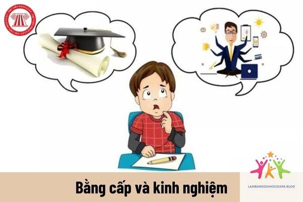 bằng đại học và kỹ năng cái nào quan trọng hơn - Hình 2
