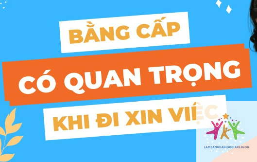 bằng đại học và kỹ năng cái nào quan trọng hơn - Hình 1
