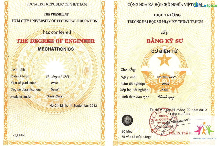 bằng đại học và năng lực làm việc - Hình 3