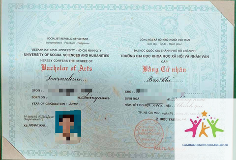 bằng đại học và năng lực làm việc - Hình 1