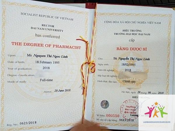 bằng dược sĩ là gì - Hình 3
