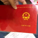 cách bảo quản bằng đại học