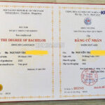 cách ép plastic bằng đại học