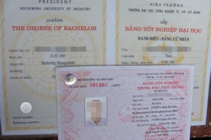 cách xem mã số bằng đại học