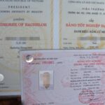 cách xem số hiệu bằng đại học
