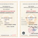 cấp lại bằng đại học ở đâu