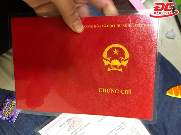có nên ép bằng đại học không - Hình 2