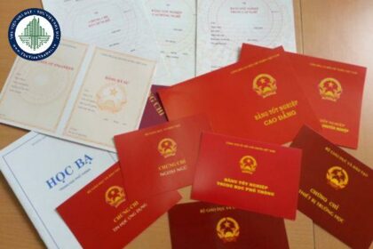 có nên giao bằng đại học bản gốc cho công ty không