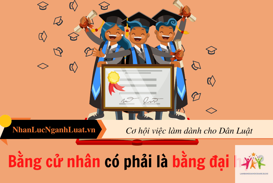 điều kiện nhận bằng cử nhân - Hình 5